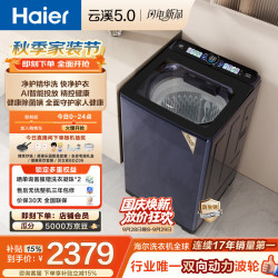 海尔 XQS100-BDE72D6U1 双动力防缠绕 波轮洗衣机  10kg