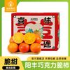 本来果坊 陕西阳丰巧克力脆柿子 3斤起