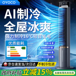 OYOCO 制冷空调扇冷风冷气电风扇落地无叶塔扇超静音一级能效家用客厅厨房新款一体