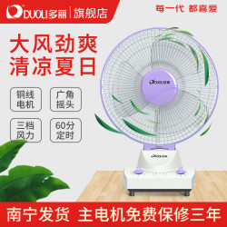 多丽 DUOLI 多丽小台扇家用电风扇迷你摇头台式大风扇风力轻音定时学生FT1-25A台扇 浅紫色