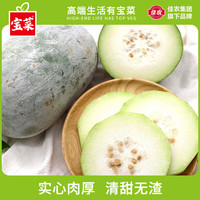 佳农 宝菜 挂霜青皮迷你冬瓜 4.5斤 2-3个装