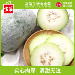 佳农 宝菜 挂霜青皮迷你冬瓜 4.5斤 2-3个装