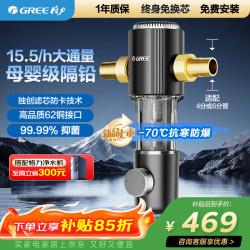 格力 前置净水器水霸王 15.5T/h家用全屋净水自来水前置自动清洗 40微米精滤免换芯无