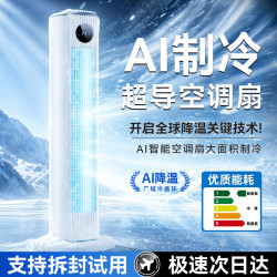 洛仙帝 空调扇制冷电风扇静音一级能效新款落地循环扇立式家用卧室客厅冷风扇台