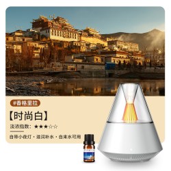 火焰香薰机家用静音便携式办公室桌面迷你小型空气净化器学生宿舍加湿器