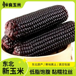 农垦雁窝岛 雁窝岛东北糯玉米新鲜甜玉米粘玉米大棒糯玉米粗粮代餐真空装10支