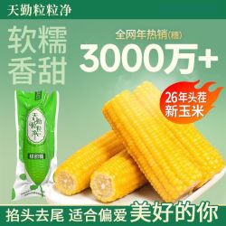 天勤粒粒净 黄甜糯玉米26年新鲜甜糯黄玉米早餐糯玉米轻食真空包装
