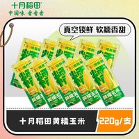 百亿补贴：十月稻田 220g黄糯玉米低脂东北香甜苞米