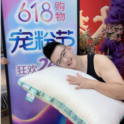LS柔软舒适软糯透气通用立体羽丝抗菌枕慢回弹zb