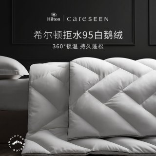 康尔馨 Himalayan极寒系列希尔顿酒店羽绒春秋被95白鹅绒控温秋冬被蓬松