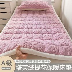 冬季牛奶绒床垫铺底保暖加厚软垫学生宿舍单人珊瑚绒榻榻米床褥子