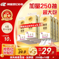 清风 棉柔亲肤 悬挂式抽纸 4层*250抽*10提(170*132mm)