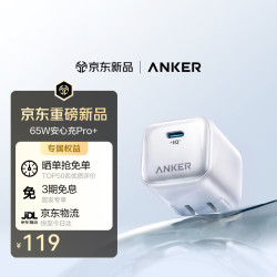 Anker 65W安心充Pro 苹果18充电器头氮化镓40W快充type