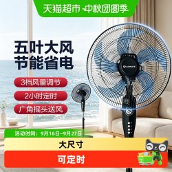 艾美特 电风扇家用落地扇五叶大风力立式定时摇头电扇