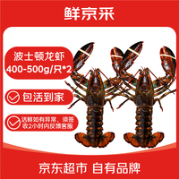 鲜京采 鲜活 波士顿龙虾