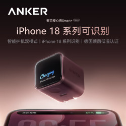 安克 安心充Smart+ 45W Type-C充电器 蓝色