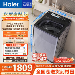 海尔 云溪波轮洗衣机全自动 精华洗 10公斤 直驱变频 双动力防缠绕 ES100B56Plus6 一级能效 星蕴银