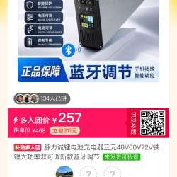 脉力诚 锂电池充电器三元48V60V72V铁锂大功率双可调新款蓝牙调节，三人团