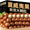 夏威夷果大颗粒奶香味大果奶油味批发1斤食坚果年货礼