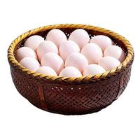 88VIP：鹏昌 无抗可生食双认证供港鸡蛋 60g*50枚