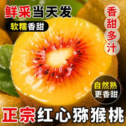甜盟 四川红心猕猴桃奇异果新鲜水果弥猴桃特大果 12枚丨50-70g