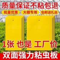 朋意 黄板双面小飞虫灭杀诱蝇大棚灭苍蝇贴纸果蝇蚊子诱捕