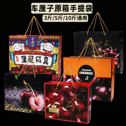 FEIANG/菲昂高端5斤车厘子礼品手提袋礼盒高级通用包装袋