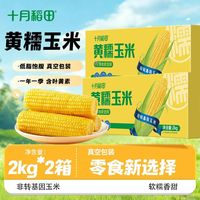 十月稻田 黄糯玉米低脂粗粮新鲜主食早餐方便2kg*2箱真空锁鲜