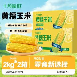 十月稻田 黄糯玉米低脂粗粮新鲜主食早餐方便2kg*2箱真空锁鲜