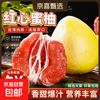 红心 福建琯溪红心蜜柚正宗当季新鲜采摘红肉蜜柚水果肉厚汁水足整箱 福建红心蜜柚