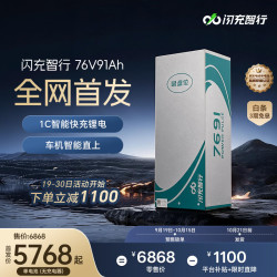 闪充智行 电动车锂电池磷酸铁锂76V91Ah电瓶电动摩托车专用单电池