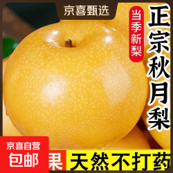京喜通 正宗山东莱阳秋月梨整箱大梨子脆甜现摘当季新鲜水果京东物流包邮 9.2斤带箱（单果200g+）净重8.4斤