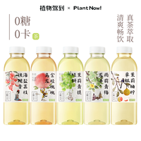 植物驾到 0糖0卡500ml*9精选果味风味放心清爽果味茶饮料