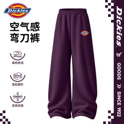 Dickies 秋装男童休闲套装2026新款男孩假两件童装儿童卫裤弯刀裤