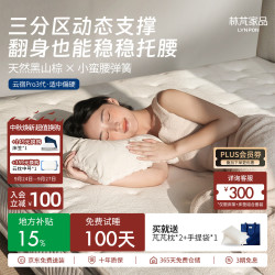 LYNPON HOUSEWARE 云宿Pro三代 山棕弹簧床垫 180