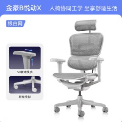 Ergonor 金豪B 人体工学电脑椅
