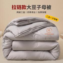 Hodo 二合一拉链大豆纤维被子被芯学生宿舍四季通用厚冬被子母被春秋被
