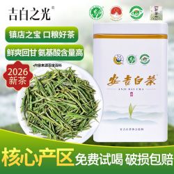 安吉白茶 正宗茶叶2026新茶雨前高山散装绿茶罐装 珍稀白茶小包装