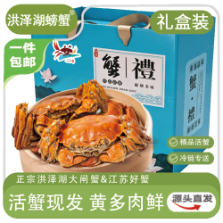 洪泽湖螃蟹 洪泽湖大闸蟹 全母蟹 单只2-2.3两 6只