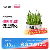 88VIP：小佩 元气猫草种子水培套装 猫咪零食