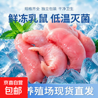 京喜自营-专用品牌 冻干 宠物开口料（1-2g） 10只