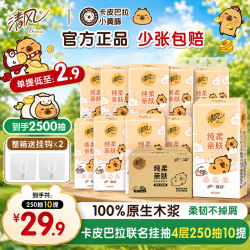 清风 卡皮巴拉挂式抽纸面巾纸挂抽宿舍卫生纸250抽大包