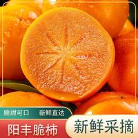 陕西阳丰巧克力脆柿净重5斤新鲜水果当季应季水果