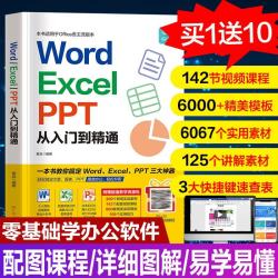《word excel ppt从入门到精通》