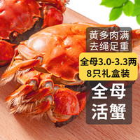乾澄 大闸蟹 3.0-3.3两 8只去绳足重鲜活六月黄螃蟹海鲜生鲜礼盒装源头直发 六月黄3.1-3.4两 8只