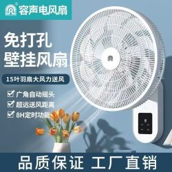 容声 壁扇壁挂式电风扇家用风扇节能省电大风力平面扇挂壁语音循环小型风扇遥控厨房打孔壁扇 16寸遥控款