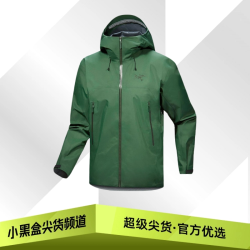 始祖鸟 BETA SL 系列  Gore-Tex 多色可选  X9684