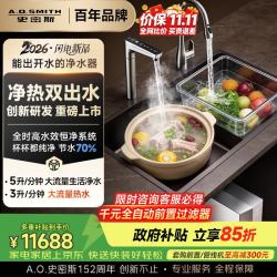 A.O.SMITH 加热净水器直饮一体机厨房专用台下用净水机100℃真沸腾 双出水冠军之选