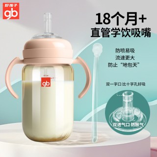 好孩子 PPSU儿童吸管杯大容量宝宝直饮奶瓶1岁以上喝奶水杯直饮杯