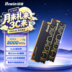 佰维 32G(16G×2)套装 DDR5 8000频率 台式机内存条 时空行者DW100 RGB灯条(C34)